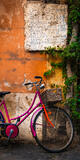 Ridden In Stone