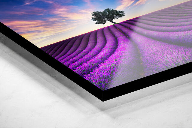 Metal Print w/ Floating Frame