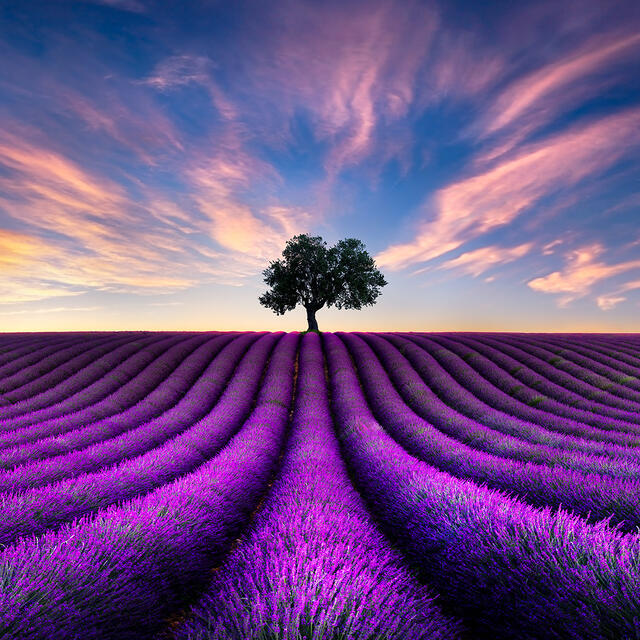 Is This Real or Photoshop? How Photographers Create ‘Unreal’ Images