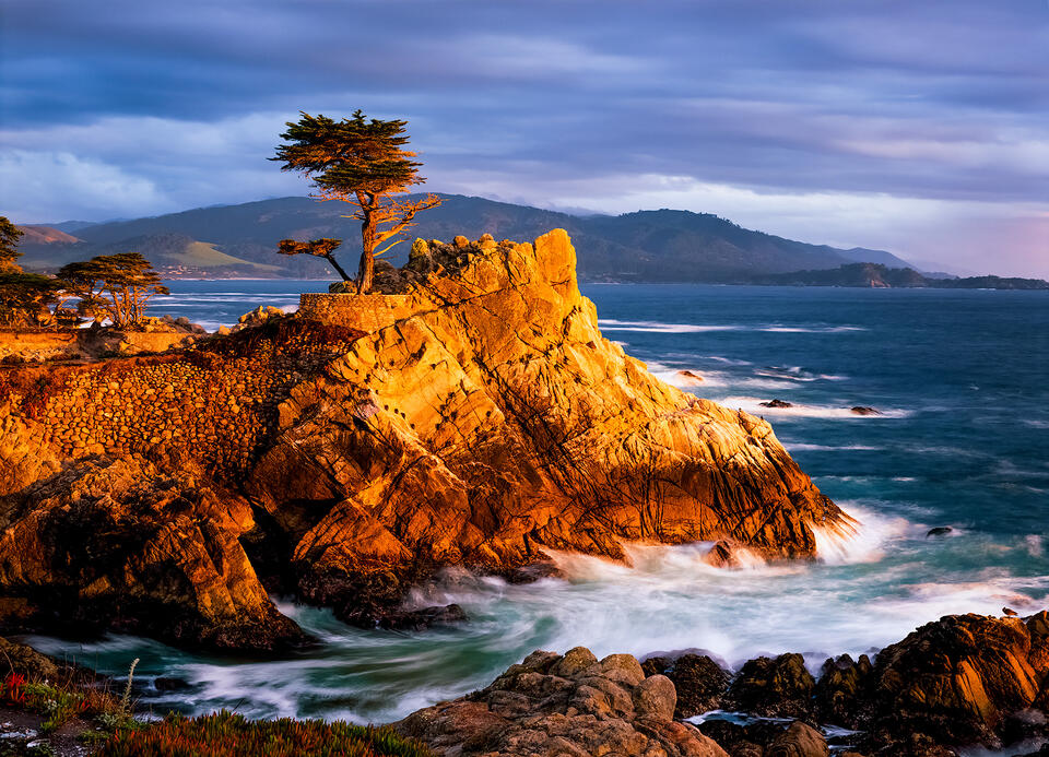 Cypress Sunset
