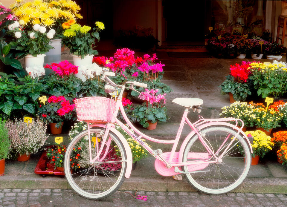 Pedals and Petals