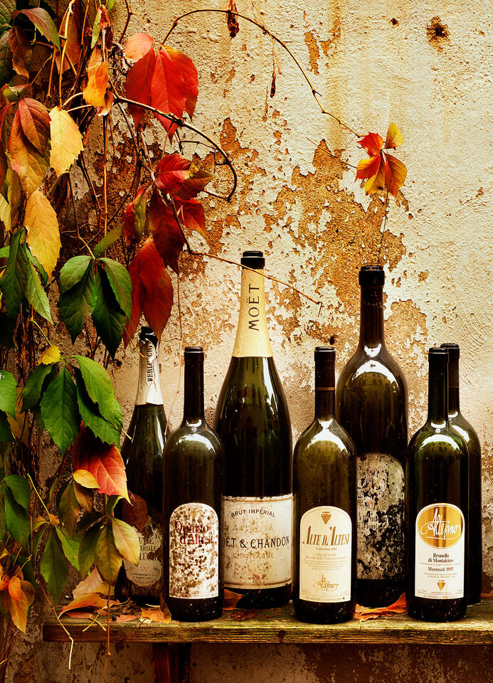 Wine Harvest