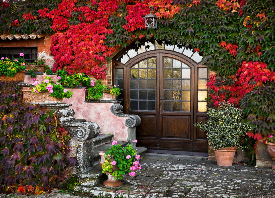 Scala Rosa II