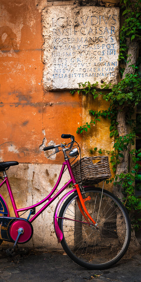 Ridden In Stone