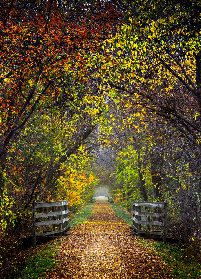Trace of Autumn