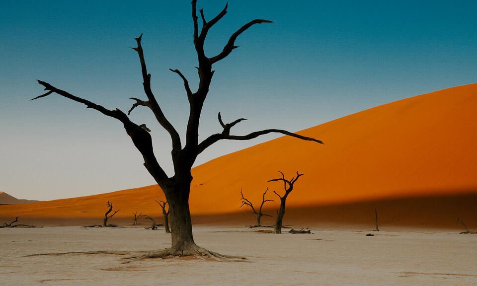 Past the Dunes
